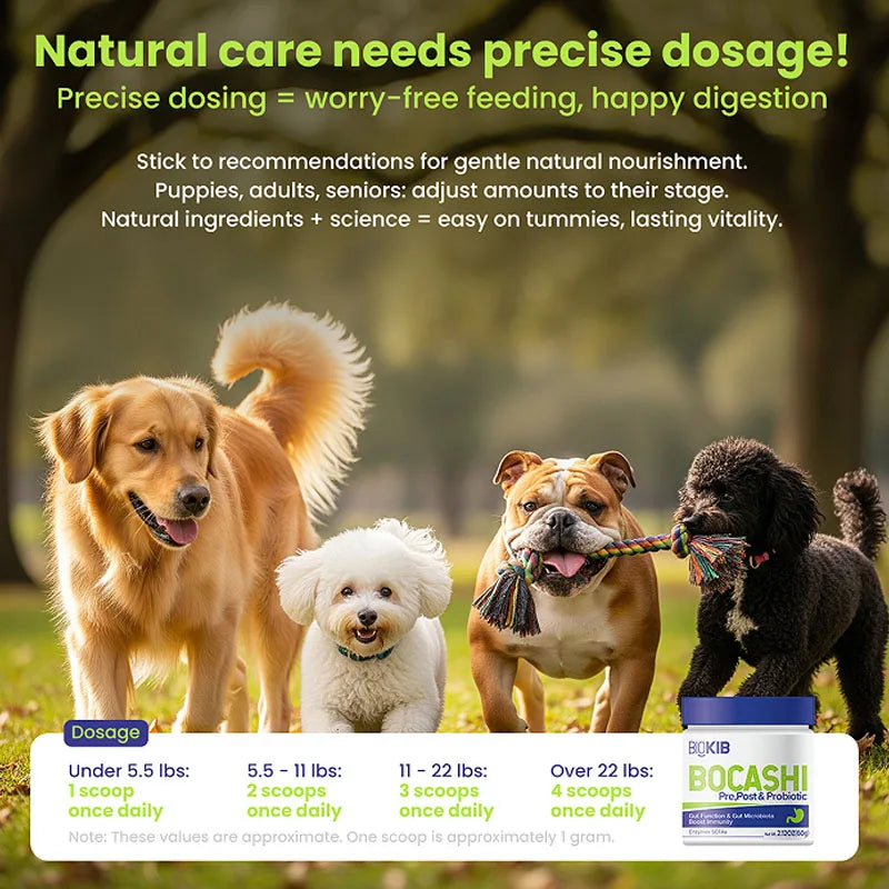 Premium Dog Probiotics Chews