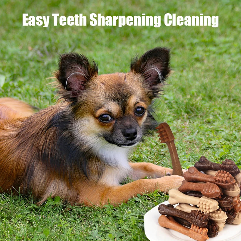 Dog Toothbrush Bone Chew Stick