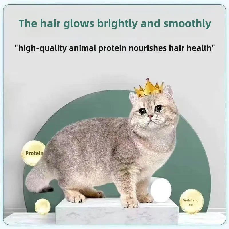Complete Nutrition Cat Food Formula