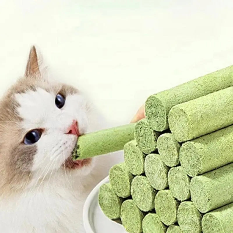 Cat Grass Sticks Teething Snacks