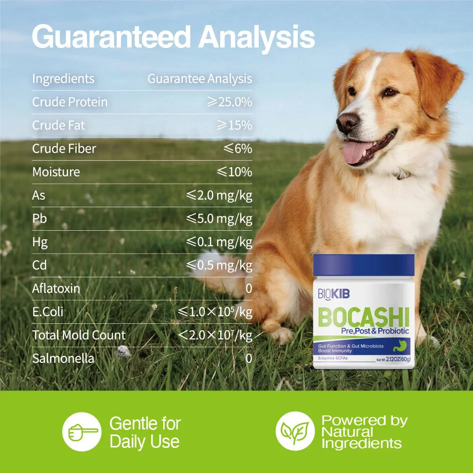 Premium Dog Probiotics Chews