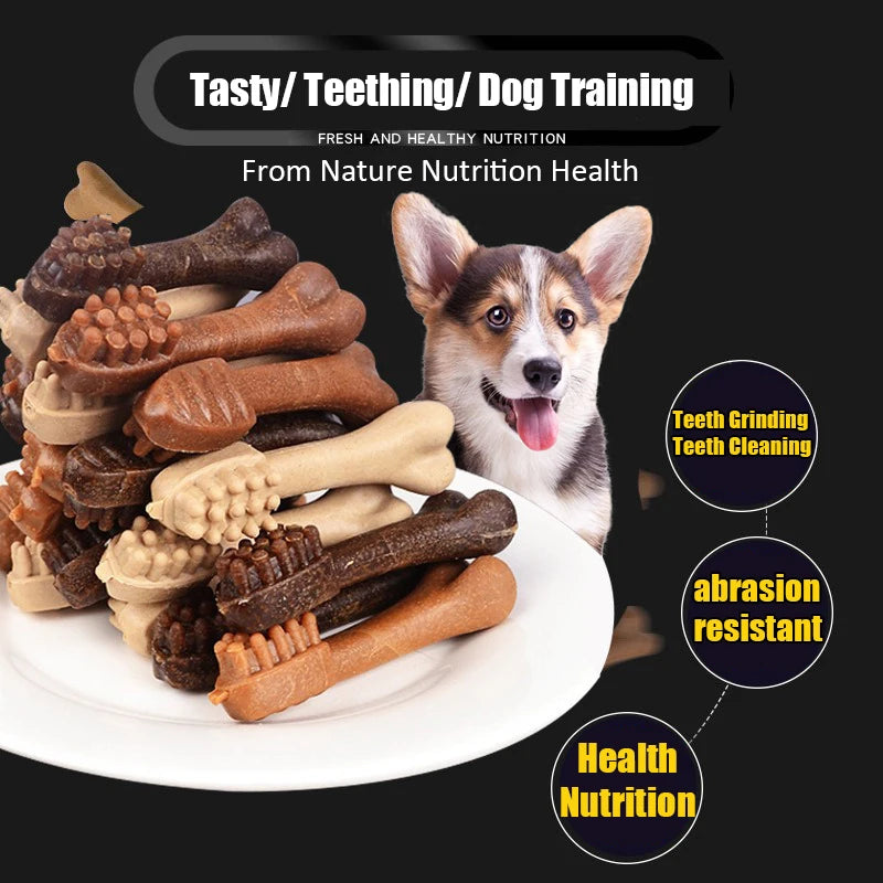 Dog Toothbrush Bone Chew Stick