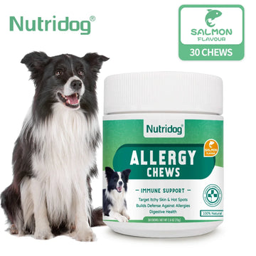 Dog Allergy and Immune Chews