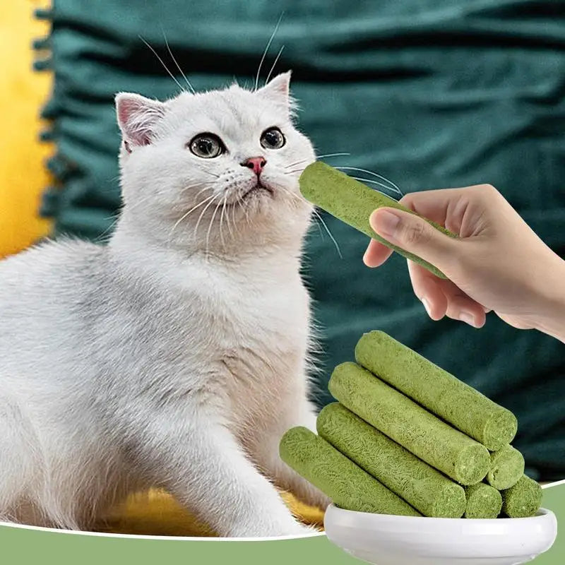Cat Grass Sticks Teething Snacks