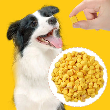 Freeze-Dried Quail Egg Pet Treat